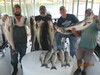(09/17/2016) - Nice Striped Bass